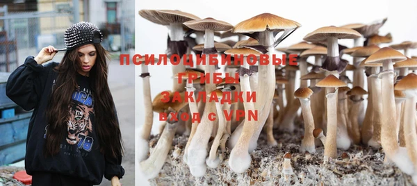 мет Белокуриха