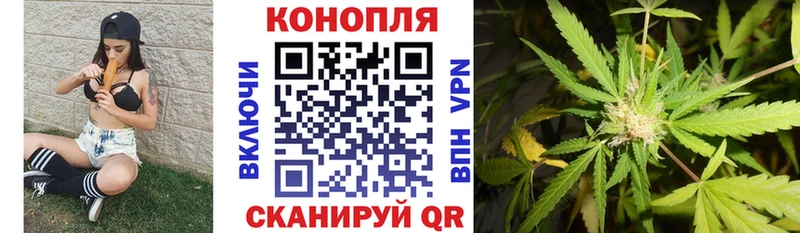 Бошки марихуана индика  Котово 
